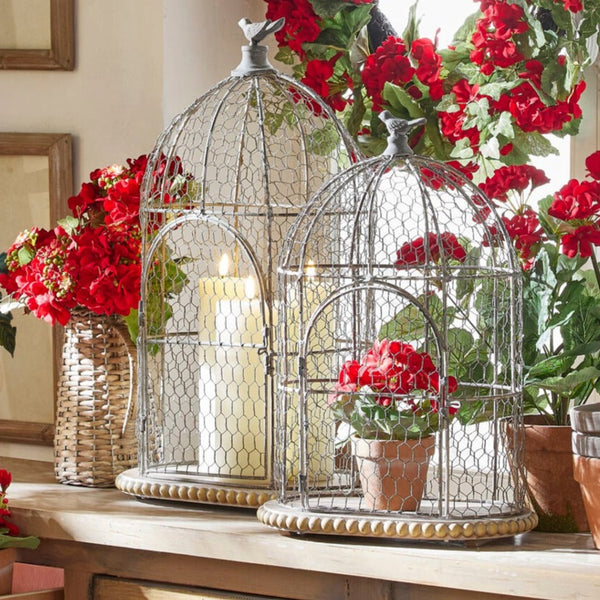 Wire Birdcage with Bird Finial
