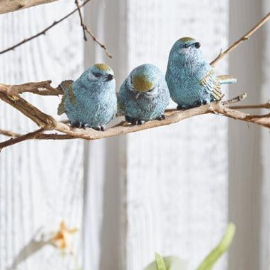 Blue Bird (3 assorted )