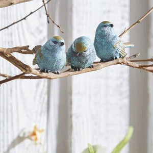 Blue Bird (3 assorted )