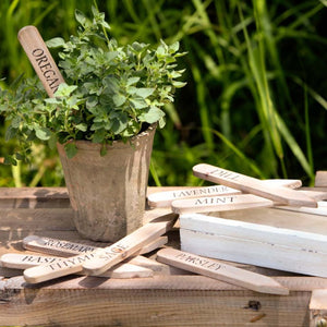 Wooden Herb Plant Stakes