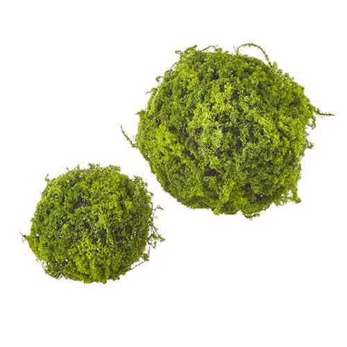 Large Moss Ball (set of 2)
