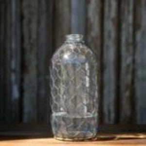 Poultry Wire Bottle/Vase