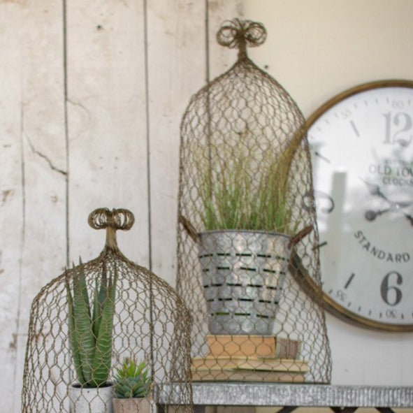 Wire Cloche Topiaries (set of two)
