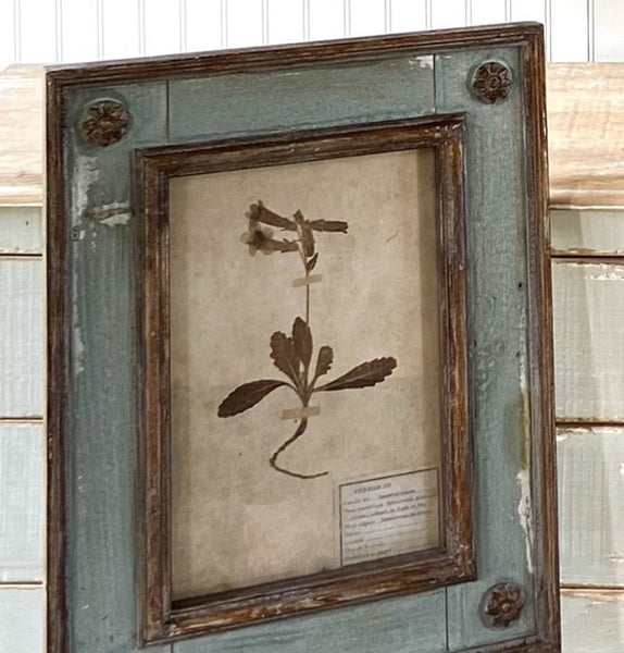 Framed Botanical Collection